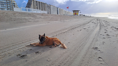 Blankenberge